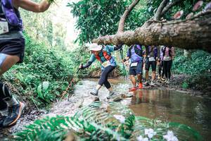 BIB: 
                            <button type="button" onclick="openModal(25478471)" class="btn btn-primary btn-sm float-right btn-popup" data-toggle="modal" data-target=".modal-high-quality">
                        <i class="fas fa-shopping-cart"></i> Add to Cart
                    </button>
                                            <button type="button" onclick="isThisMe(25478471, true)" class="btn btn-success btn-sm float-right btn-popup btn-isme hidden" data-toggle="tooltip" data-placement="bottom" title="นี่คือรูปของคุณใช่ไหม คลิกที่นี่เพื่อเอาเข้าอัลบั้ม">
                        <i class="fas fa-plus"></i> Add to album
                    </button>
                    <button type="button" onclick="isThisMe(25478471, false)" class="btn btn-warning btn-sm float-right btn-popup btn-isnotme hidden">
                        <i class="fas fa-ban"></i> Remove from album
                    </button>